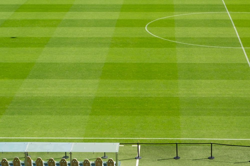 Pitchside Lounge